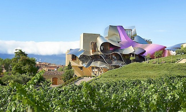 Interview with Alejandro Aznar, chairman of Marques de Riscal