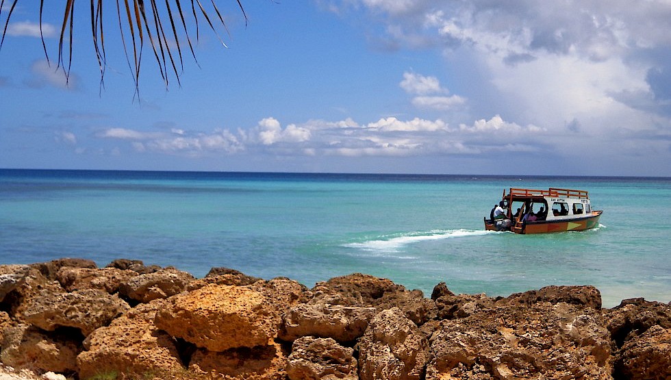 The view from the shoreline, Tobago. Photo: Jorge Maraima