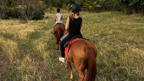 Horseback treks. Photo: Estefania Medina