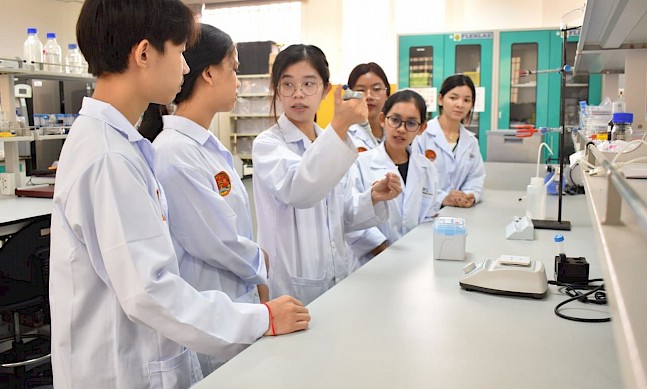 Cambodia: Leading Companies